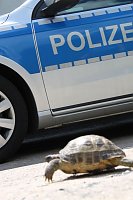 Bild: Besuch bei der Polizei