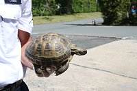 Bild: Besuch bei der Polizei