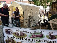 Thüringentag am Samstag Bild: Thüringentag am Samstag
