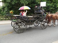 Weitere Bilder Festumzug (1) Bild: Weitere Bilder Festumzug (1)