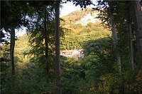 Bild: Affenwald Erlebnispark Strau&szlig;berg