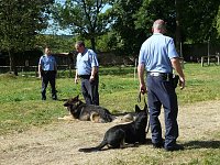 Bild: Polizeivorf&uuml;hrungen im Zeltlager der Johanniter