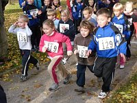 Bild: 15. Stadtparklauf Sondershausen