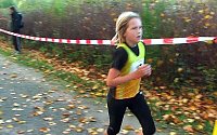 Bild: Stadtparklauf