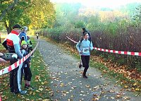 Bild: Stadtparklauf
