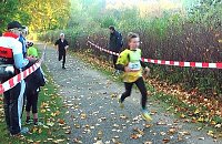 Bild: Stadtparklauf