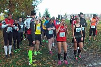 Bild: Stadtparklauf