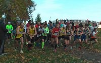 Bild: Stadtparklauf