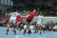Bild: THC unterliegt Gy&ouml;r 25:33