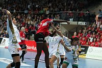 Bild: THC unterliegt Gy&ouml;r 25:33