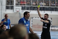 Bild: THC unterliegt Gy&ouml;r 25:33