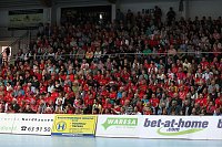 Bild: THC unterliegt Gy&ouml;r 25:33