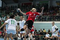 Bild: THC unterliegt Gy&ouml;r 25:33
