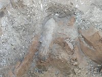 Bild: Blindg&auml;nger gefunden