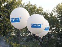 Bild: Sommernachtsball in Heiligenstadt