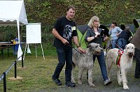 Bild: ICW in Neustadt