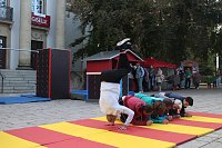 Das erste Wildwechselfestival wurde heute in Nordhausen eröffnet Bild: Das erste Wildwechselfestival wurde heute in Nordhausen eröffnet