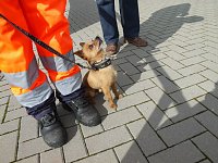 Eichsfelder Feuerwehrtag Bild: Eichsfelder Feuerwehrtag