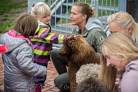 Therapiehunde unterwegs Bild: Therapiehunde unterwegs