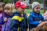 Therapiehunde unterwegs Bild: Therapiehunde unterwegs