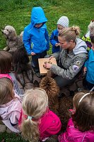 Therapiehunde unterwegs Bild: Therapiehunde unterwegs