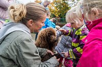 Therapiehunde unterwegs Bild: Therapiehunde unterwegs