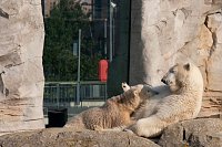 Besuch im Zoo am Meer Bild: Besuch im Zoo am Meer