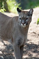 Besuch im Zoo am Meer Bild: Besuch im Zoo am Meer