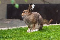 Besuch im Zoo am Meer Bild: Besuch im Zoo am Meer