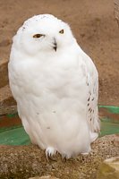 Besuch im Zoo am Meer Bild: Besuch im Zoo am Meer