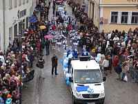 Bild: Rosenmontagsumzug2009
