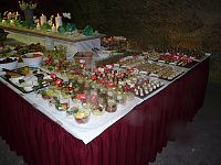 Bild: 1. Sondersh&auml;user Salz-Kristallball
