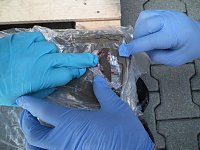 Rauschgift in Lkw entdeckt Bild: Rauschgift in Lkw entdeckt