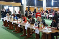 Bild: 2. Nordh&auml;user Tanzwettbewerb in Ballspielhalle.NNZ-City Scout on Tour