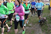 Marathonläufer unterwegs Bild: Marathonläufer unterwegs