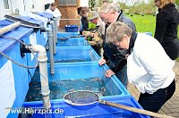 Fischfest Bild: Fischfest