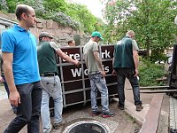 Bärin Conny zieht nach Worbis Bild: Bärin Conny zieht nach Worbis