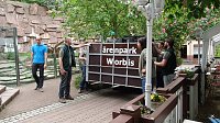 Bärin Conny zieht nach Worbis Bild: Bärin Conny zieht nach Worbis