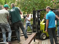 Bärin Conny zieht nach Worbis Bild: Bärin Conny zieht nach Worbis