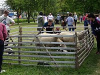 Stadtfest in Leinefelde Bild: Stadtfest in Leinefelde