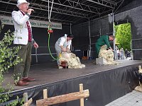 Stadtfest in Leinefelde Bild: Stadtfest in Leinefelde