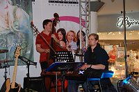 Bild: 1. Moonlightshopping im Jahr 2009 S&uuml;dharz Galerie Nordhausen.