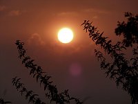 Bild: Gestriger Sonnenuntergang