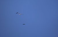 18. Flugtage in Hain Bild: 18. Flugtage in Hain