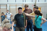 Bild: Welt der Reptilien in der Wiedingsburghalle