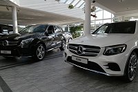 Bild: Die Neuen bei "Peter"