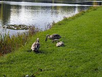 Bild: Der W&ouml;rlitzer Park