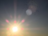 Bild: Die Flugschau ist er&ouml;ffnet