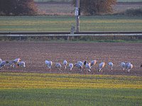 Bild: Die Flugschau ist er&ouml;ffnet