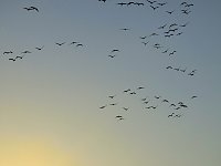 Bild: Die Flugschau ist er&ouml;ffnet